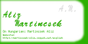 aliz martincsek business card